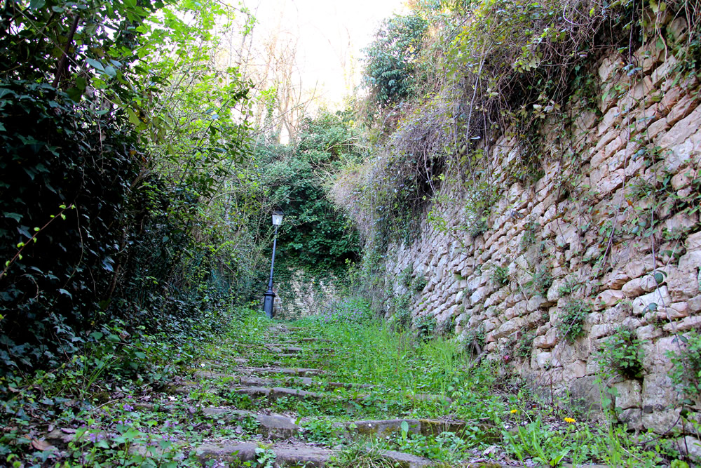 Scalinata Rocca Pergola